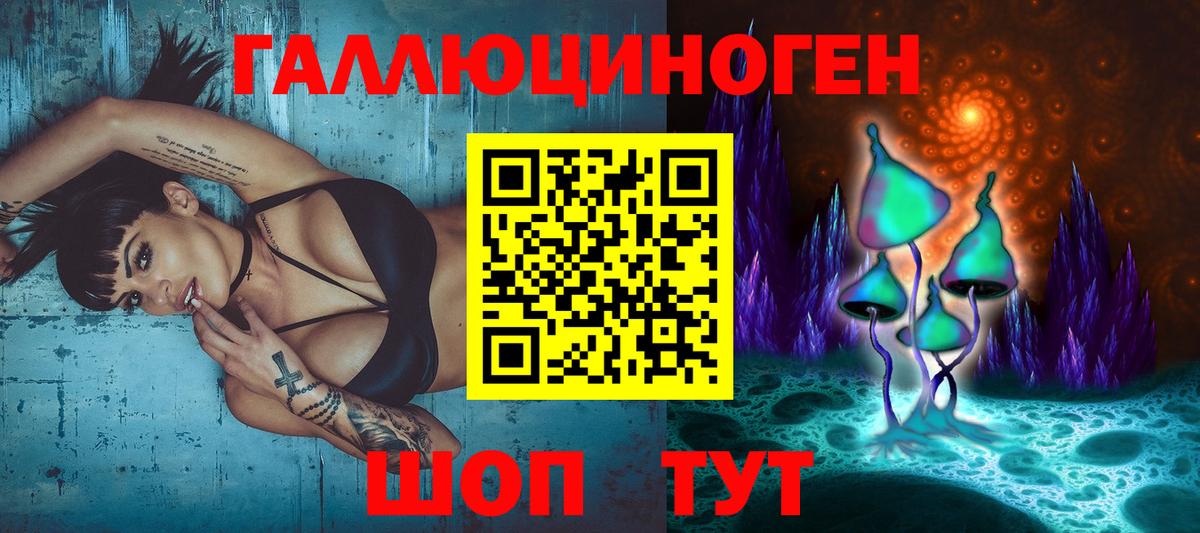 Псилоцибиновые грибы GOLDEN TEACHER Каменск-Шахтинский